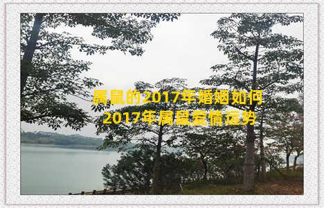 属鼠的2017年婚姻如何 2017年属鼠爱情运势